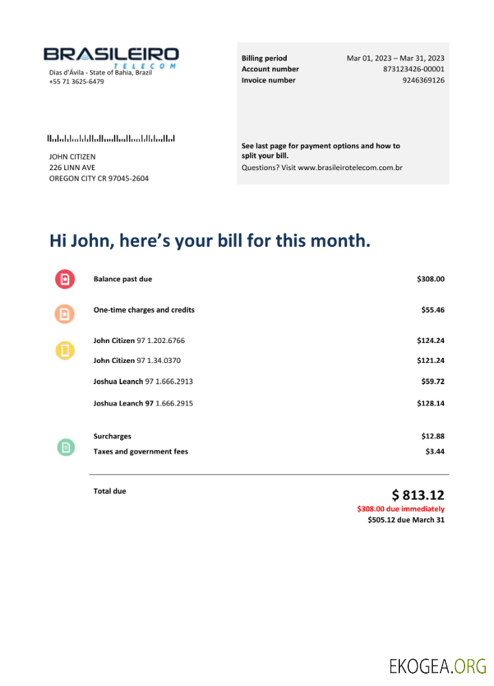 Brazil Braziliero Telecom telecommunication bill Word and PDF template